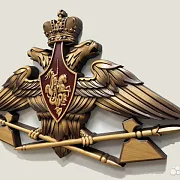 Резной герб МТО ВС РФ из бука — оригинальный подарок — фотография 3